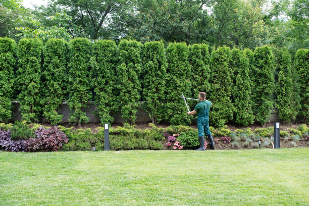 Best Tree Cabling and Bracing  in Redstone Arsen, AL