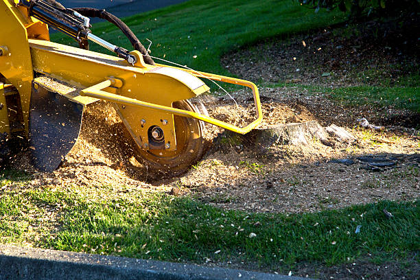 Best Artificial Turf Installation  in Redstone Arsen, AL
