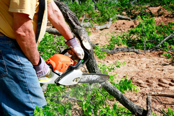 Best Stump Grinding and Removal  in Redstone Arsen, AL